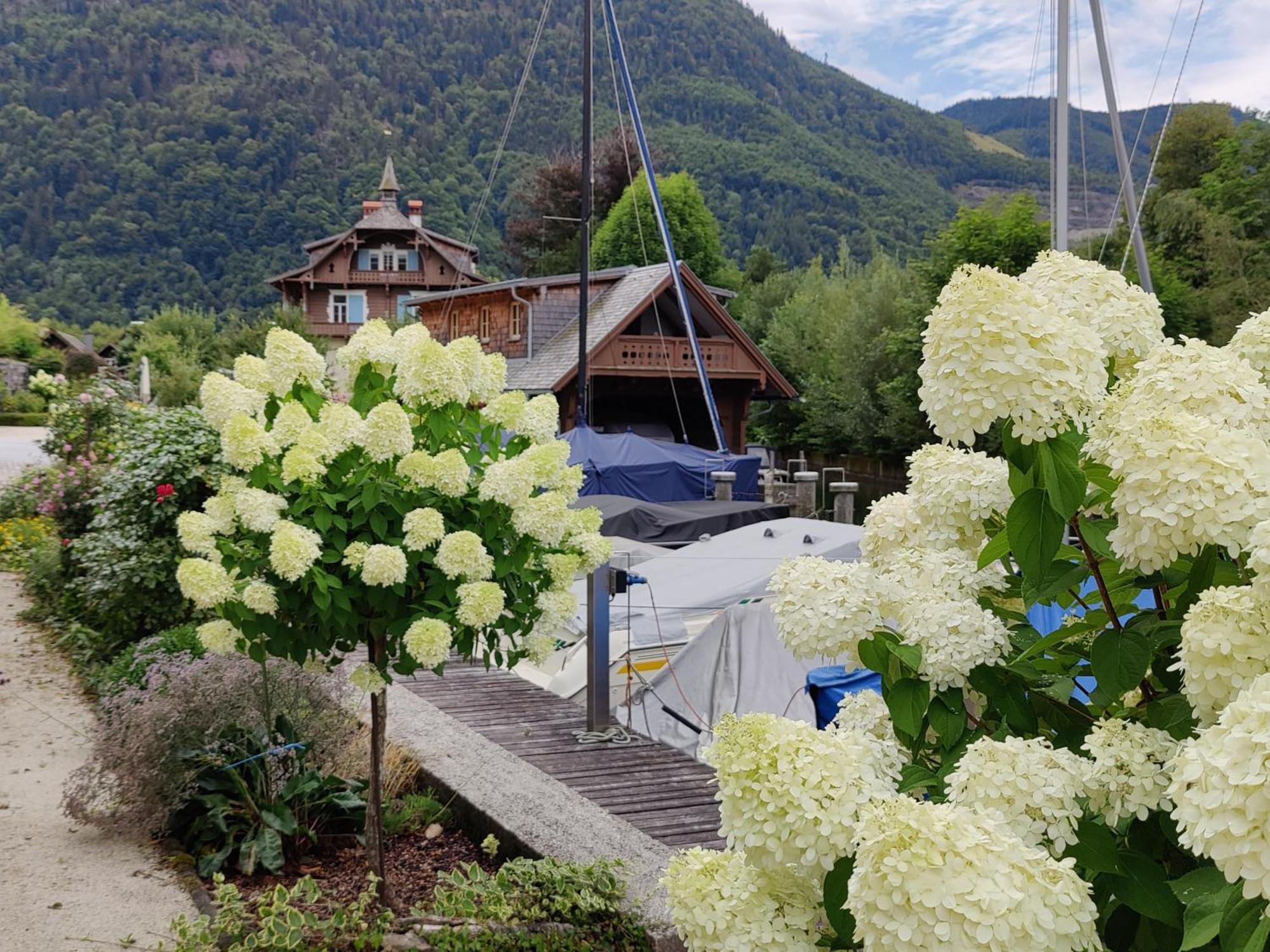 Wohnen Am See Villa Schroetter Direkt Am Traunsee Rindbach Extérieur photo